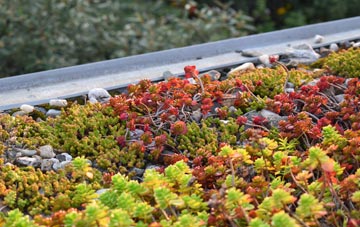 the cost of Gearymore green roof installation