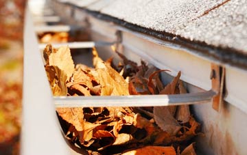Gearymore gutter cleaning companies