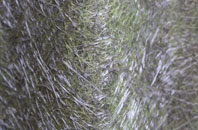 Gearymore fibreglass roof work